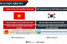 Chi Phí Đi Xuất Khẩu Lao Động Mỹ