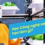 Danh Mục Sự Nghiệp Công Ngành Nông Nghiệp