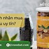 Hạt Hạnh Nhân Sống Mua Ở Đâu