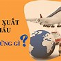 Làm Xuất Nhập Khẩu Cần Học Những Gì