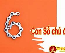 Người Có Con Số Chủ Đạo Số 6