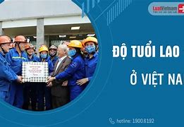 Người Lao Động Là Người Từ Bao Nhiêu Tuổi Trở Lên