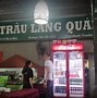 Nhà Hàng Trâu Vàng Hà Nội