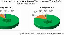 Xuất Khẩu Cao Su Việt Nam Sang Trung Quốc