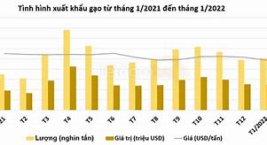 Xuất Khẩu Gạo 2 Tháng Đầu Năm 2023 Tại Hà Nội